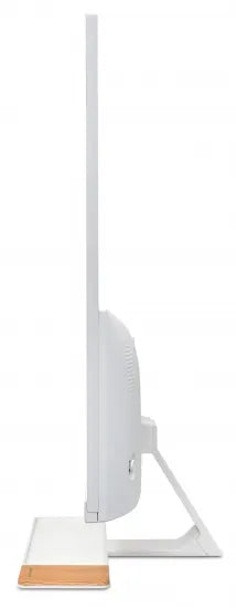 DS20